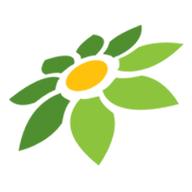 INSTAGRAM LOGO TRANSPARENT